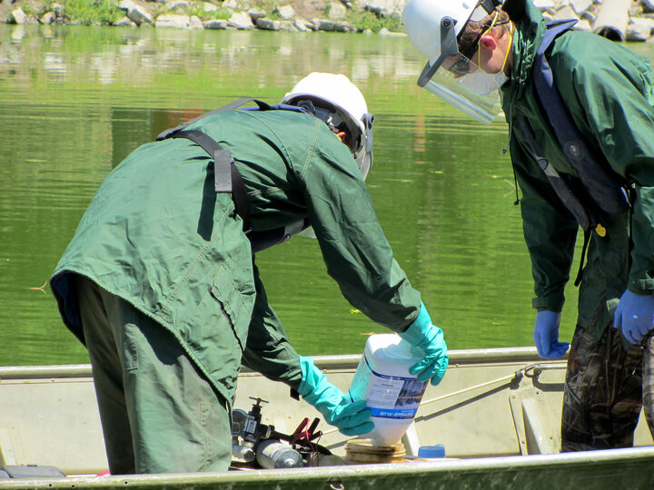 Aquatic pest managers load copper chelates to control algae.